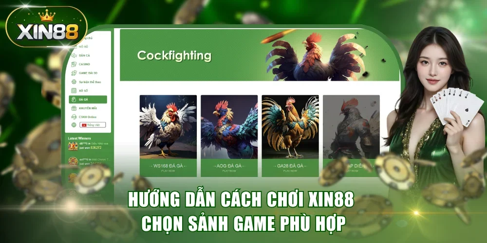 Hướng dẫn cách chơi XIN88 chọn sảnh game phù hợp